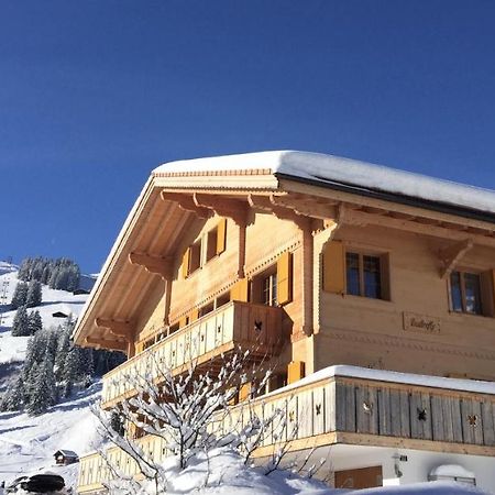 Chalet Butterfly Адельбоден Екстер'єр фото